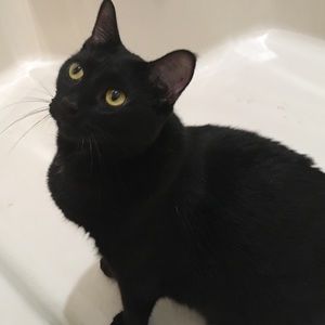 Meet your Posher, Kaci